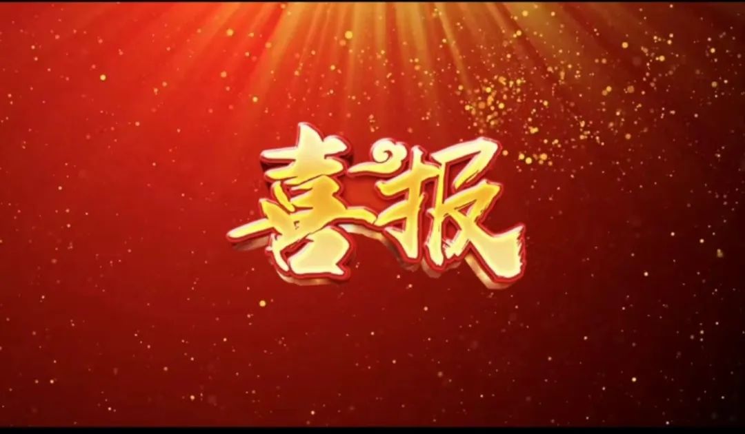 荣誉 | w66利来荣获&ldquo;2023年杜着秀合作同伴奖，共建共享共赢的范例&rdquo;